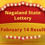 Nagaland Lottery Sambad Result Today 14-02-2024