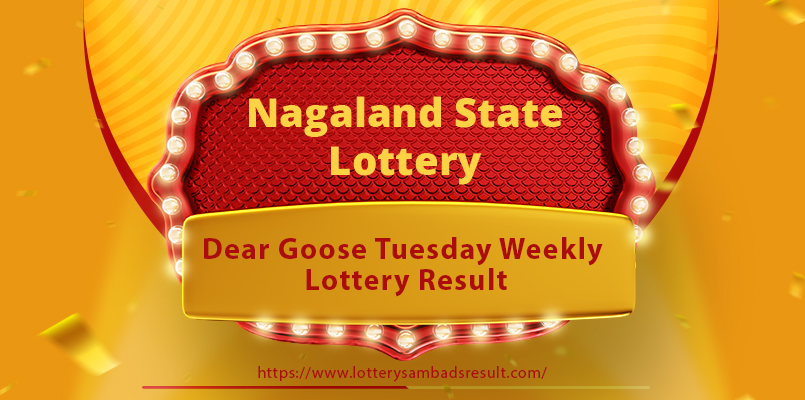 Nagaland Dear Goose Tuesday Lottery 8 PM Results